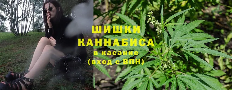 как найти наркотики  Каменка  Бошки марихуана Bruce Banner 